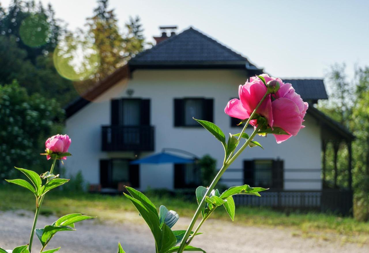 Apartments Zakrasnik Skofja Loka Luaran gambar