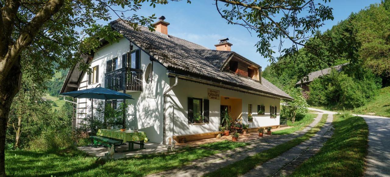 Apartments Zakrasnik Skofja Loka Luaran gambar