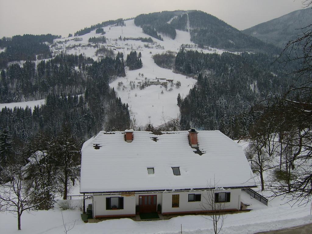 Apartments Zakrasnik Skofja Loka Luaran gambar